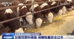<b>科技为抵御寒潮供给“硬支持”各地积极</b>