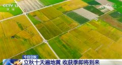 立秋时节农做物发展兴旺全国从南到北将