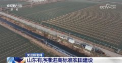 严冬模式”已全国大部门农区光温前提利