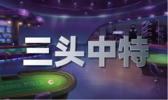 2024年澳门材料免费大全V